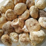 Melena de León - Imagen 2