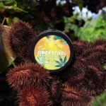 Pomada caliente ancestral - Imagen 2