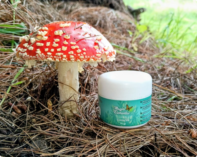 crema fria 1 2 Crema fría - Imagen 1