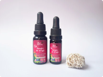 Reparación corporal